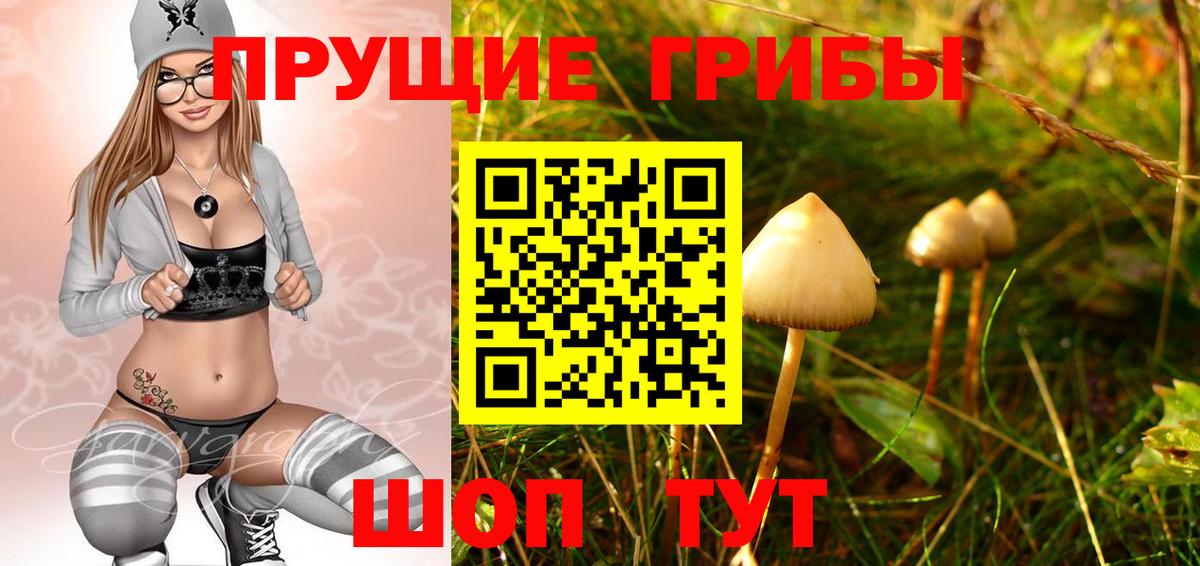 Галлюциногенные грибы прущие грибы Миллерово