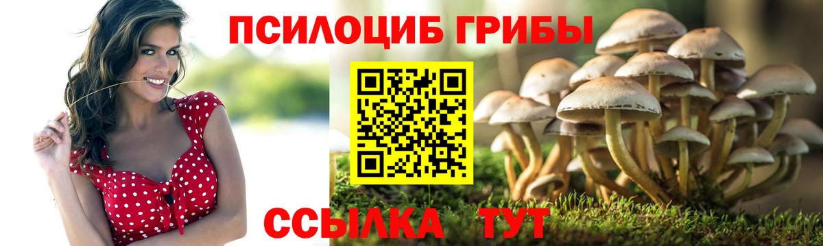Миллерово  Псилоцибиновые грибы мицелий  Вход с VPN 